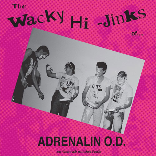 ADRENALIN O.D. / アドレナリン・オー・ディー / WACKY HI-JINKS OF ADRENALIN O.D. (LP)