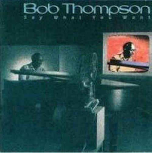 BOB THOMPSON / ボブ・トンプソン / Say What You Want (LP)