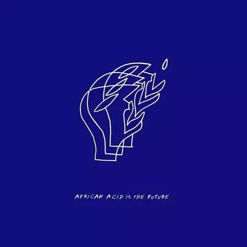 LES FILLES DE ILLIGHADAD & EDMONY KRATER / AFRICAN ACID IS THE FUTURE - AMBIANCE II
