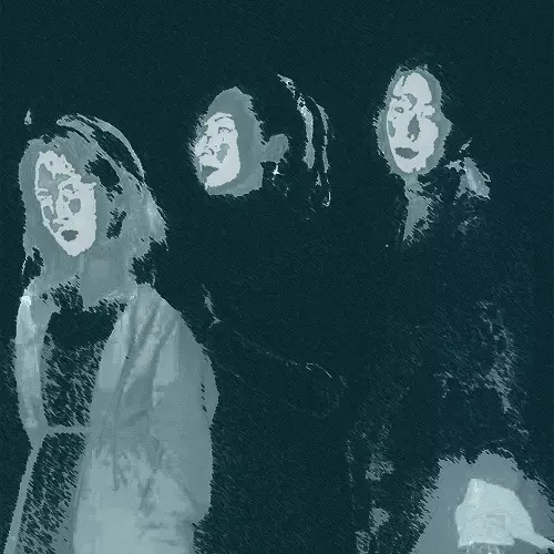 TAWINGS アナログレコード LP TAWINGS商品一覧｜PUNK｜ディスクユニオン・オンラインショップ