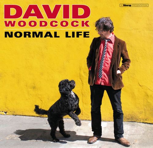 DAVID WOODCOCK / NORMAL LIFE (LP)