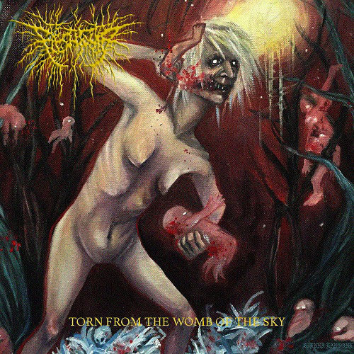 FLESH TOMB / TORN FROM THE WOMB OF THE SKY