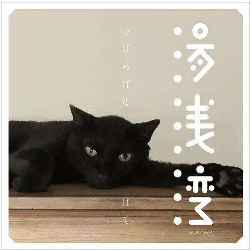 湯浅湾 / ひげめばな/はて