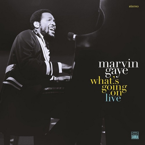 MARVIN GAYE / マーヴィン・ゲイ / WHAT'S GOING ON LIVE(2LP)