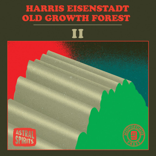 HARRIS EISENSTADT / ハリス・アイゼンスタット / Old Growth Forest II