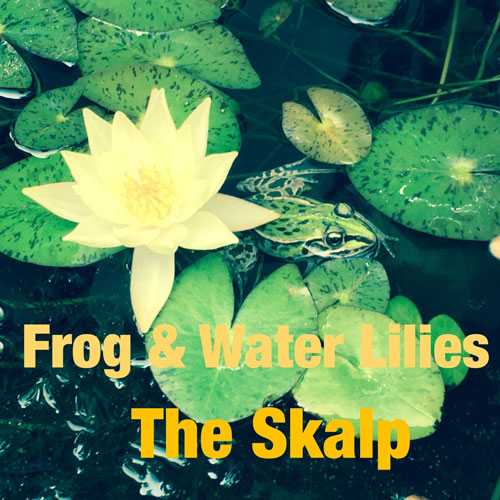 THE SKALP / FROG&WATER LILIES