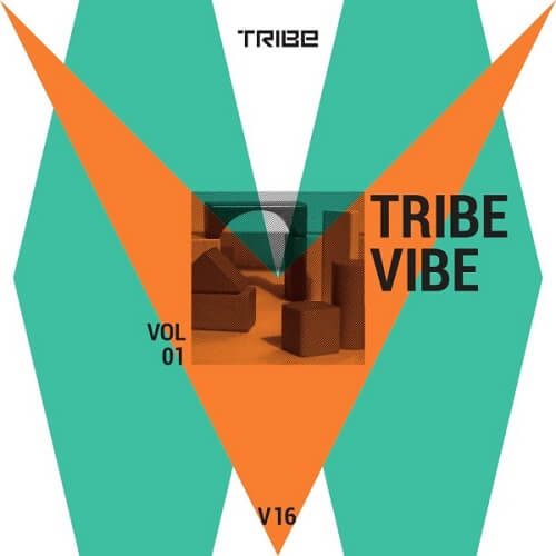V.A.(TRIBE RECORDS) / TRIBE VIBE VOL 01 (MIKE HUCKABY, JON DIXON REMIXES)