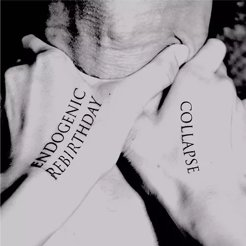 COLLAPSE (JPN) / ENDOGENIC REBIRTHDAY
