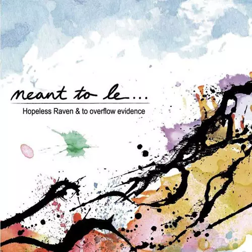 Hopeless Raven / to overflow evidence / meant to be...