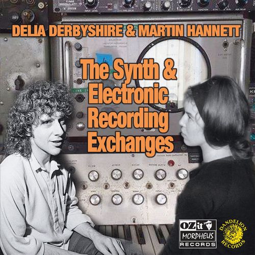 DELIA DERBYSHIRE & MARTIN HANNETT / THE SYNTH AND ELECTRONIC RECORDING EXCHANGES (LP) 