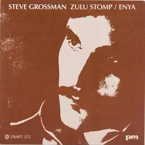 STEVE GROSSMAN / スティーヴ・グロスマン / ZURU STOMP / ENYA