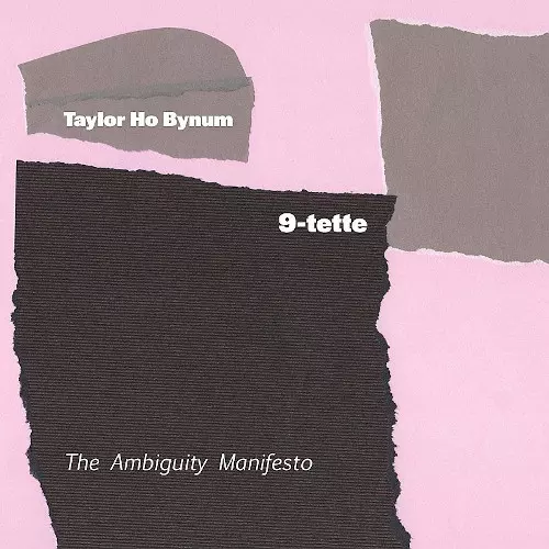 TAYLOR HO BYNUM / Ambiguity Manifesto