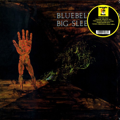 BIG SLEEP / ビッグ・スリープ / BLUEBELL WOOD - LIMITED VINYL