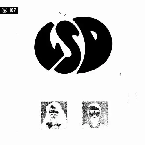 THE NEW ME / ザ・ニュー・ミー / LSD VOYEURS