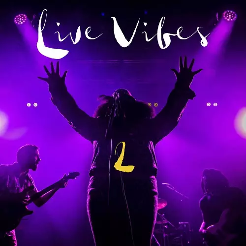 TANK & THE BANGAS / タンク・アンド・ザ・バンガーズ / LIVE VIBES 2(LP)