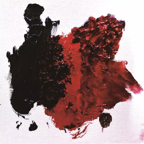 sassya- / VACANT / sassya- x VACANT split CD