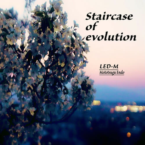 LED-M / Staircase of Evolution