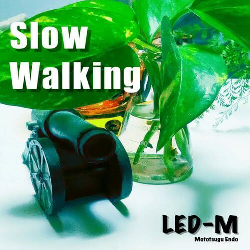 LED-M / Slow Walking