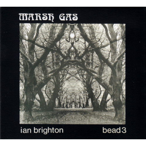 IAN BRIGHTON / Marsh Gas