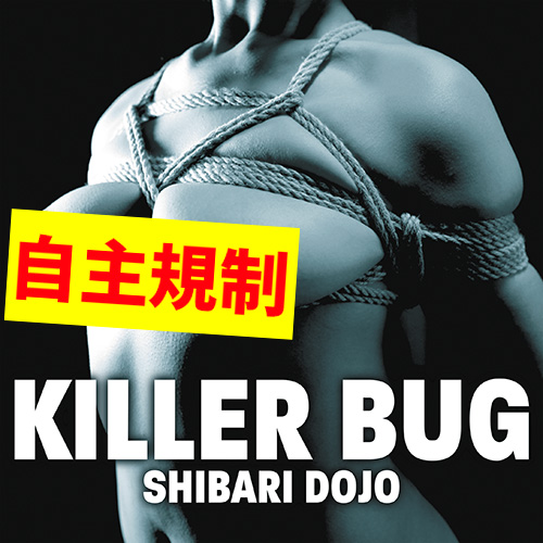 KILLER BUG / MASKHEAD / SHIBARI DOJO / AWAKENINGS OF THE PERVERTED BEAST