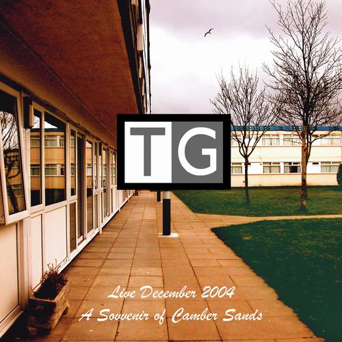 THROBBING GRISTLE / スロッビング・グリッスル / A SOUVENIR OF CAMBER SANDS (2CD)