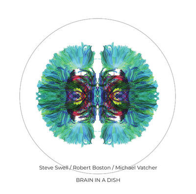 STEVE SWELL / スティーブ・スウェル / Brain in a Dish