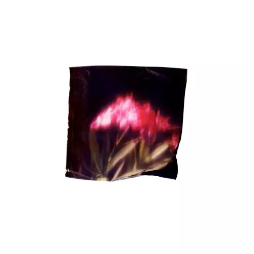 GIGI MASIN & JONNY NASH / ジジ・マシン&ジョニー・ナッシュ / POSTCARDS FROM NOWHERE