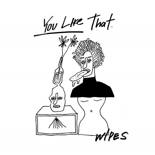 WIPES / YOU LIKE THAT(7inch)
