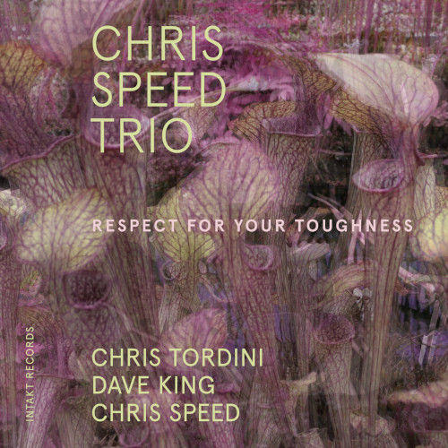 CHRIS SPEED / クリス・スピード / Respect For Your Toughness