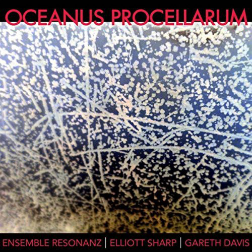 ELLIOTT SHARP / エリオット・シャープ / Oceanus Procellarum