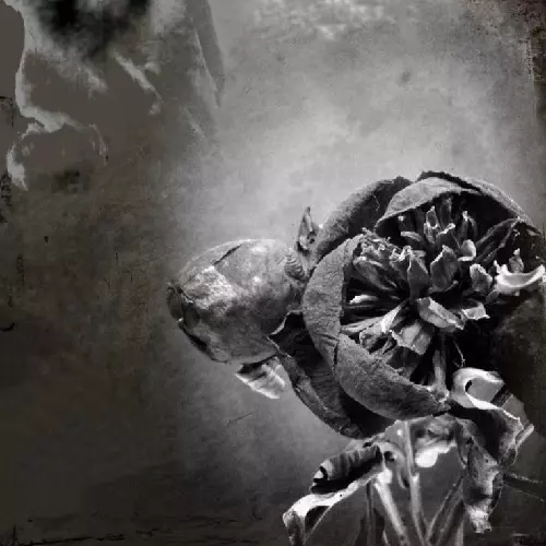 森川誠一郎×黒木真司×藤掛正隆 / PREDICTING THINGS AND INTUITION