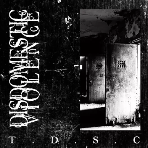 DISDOMESTIC VIOLENCE / T.D.S.C
