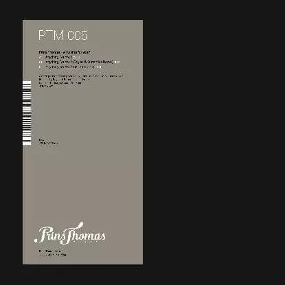 PRINS THOMAS / プリンス・トーマス / ANYTHING FOR YOU?
