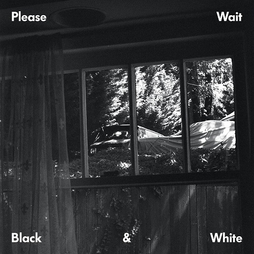 PLEASE WAIT (TA-KU & MATT MCWATERS) / BLACK & WHITE EP "LP"