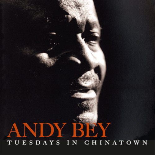 ANDY BEY / アンディ・ベイ / Tuesdays In Chinatown(2LP)