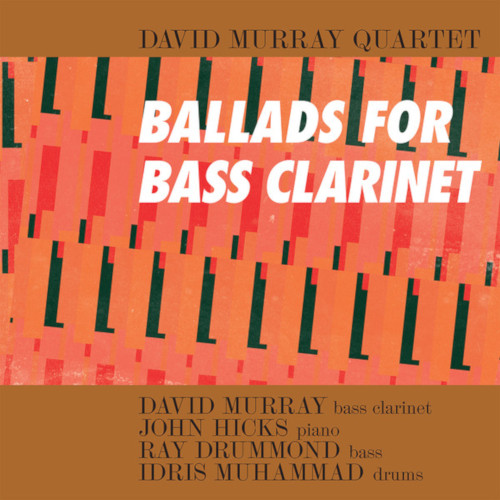 DAVID MURRAY / デヴィッド・マレイ / Ballads For Bass Clarinet(LP)