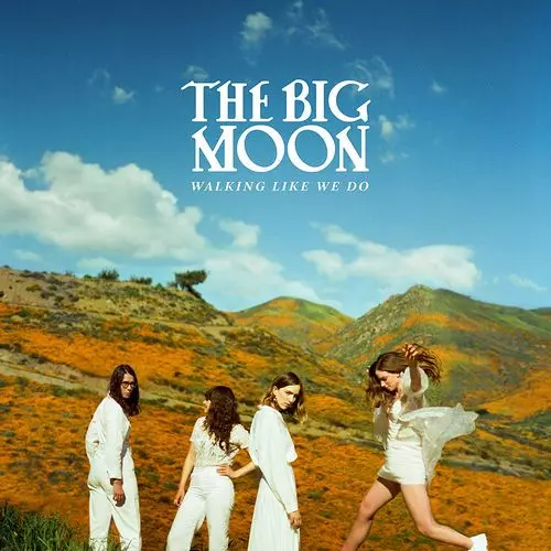 BIG MOON / ビッグ・ムーン / WALKING LIKE WE DO (BLACK VINYL) 