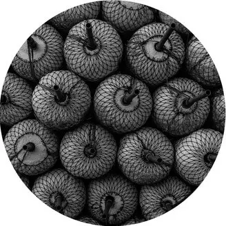 FOREST DRIVE WEST / PARALLEL SPACE EP