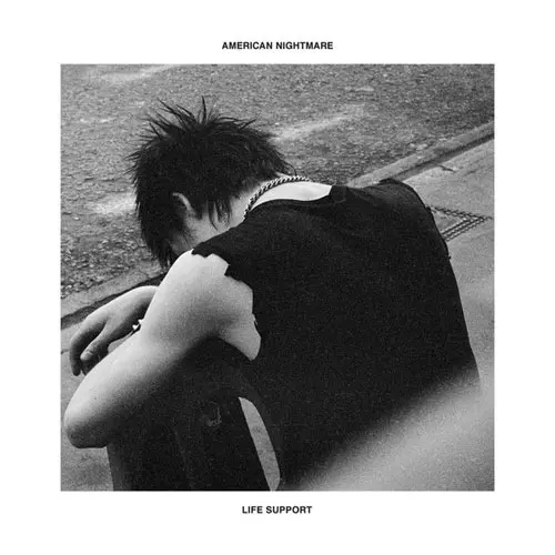 Buy American Nightmare 'When We Were Young' at Bridge Nine Records