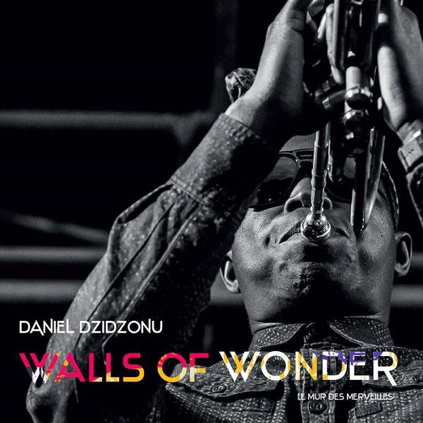 DANIEL DZIDZONU / WALLS OF WONDER