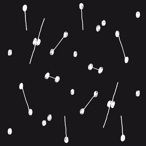 ARIL BRIKHA / アリ・ブリッカ / DANCE OF A TRILLION STARS