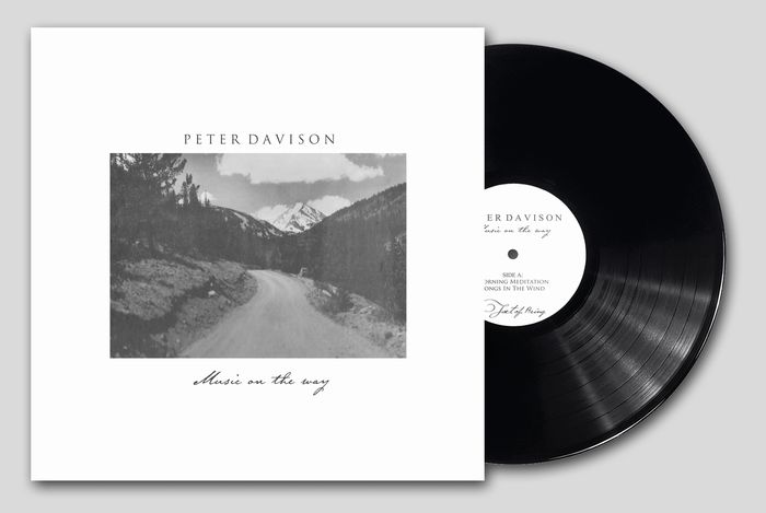 PETER DAVISON / ピーター・デイヴィソン / MUSIC ON THE WAY (LP)