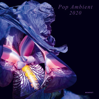 V.A.(POP AMBIENT) / POP AMBIENT 2020 (CD)