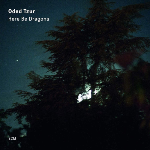 ODED TZUR / オデッド・ツール / Here Be Dragons(LP)