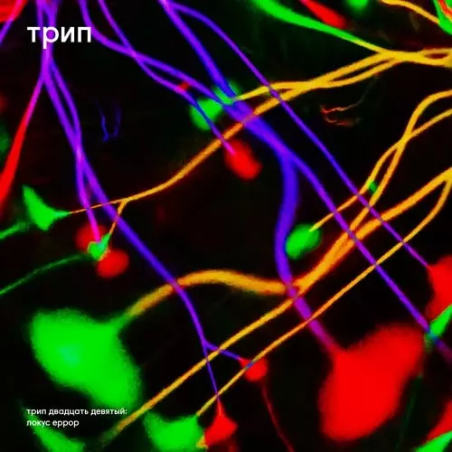 V.A. / オムニバス(трип) / LOCUS ERROR