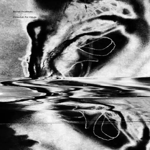 BURNT FRIEDMAN / バーント・フリードマン / POTENTIAL FOR HAVOC