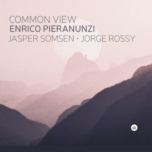 ENRICO PIERANUNZI / エンリコ・ピエラヌンツィ / COMMON VIEW / コモン・ビュー