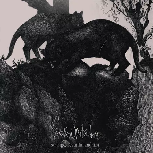 TAKAFUMI MATSUBARA / STRANGE BEAUTIFUL AND FAST (LP)