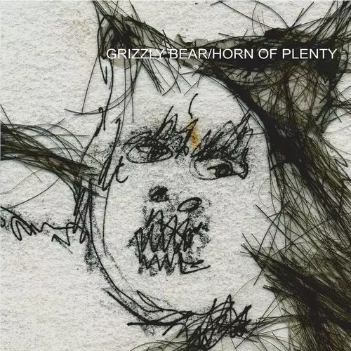 GRIZZLY BEAR / グリズリー・ベア / HORN OF PLENTY (CLOUDY CLEAR VINYL)