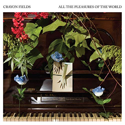 CRAYON FIELDS / クレヨン・フィールズ / ALL THE PLEASURES OF THE WORLD (DELUXE EDITION) (BLUE & GREEN GALAXY SWIRL VINYL) 